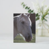 White Horsehead Briefkaart (Staand voorkant)