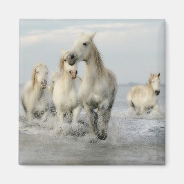 White Horses Galloping on Beach Magnet