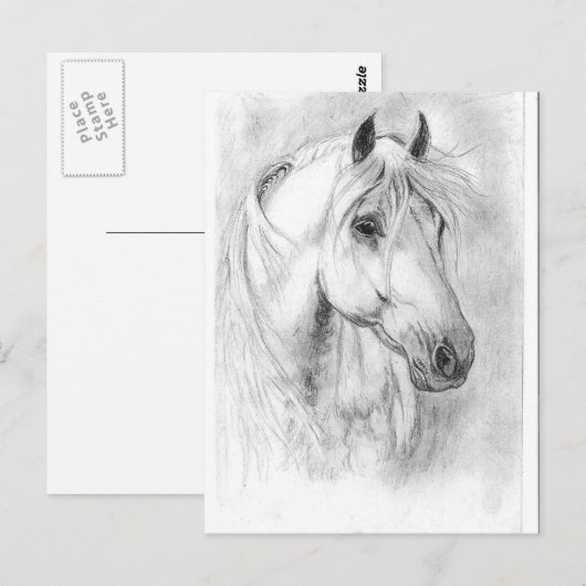 White Horses head Briefkaart (Voorkant / Achterkant)