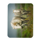 White Horses of Camargue in Field Magneet (Verticaal)