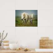 White Horses of Camargue in Field Poster (Keuken)