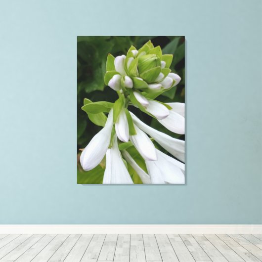 White Hosta Canvas afdrukken (Insitu (Houten vloer))
