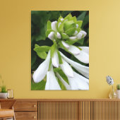 White Hosta Canvas afdrukken (Insitu (Woonkamer))