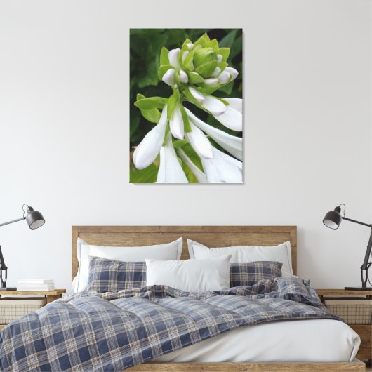White Hosta Canvas afdrukken (Insitu (Slaapkamer))