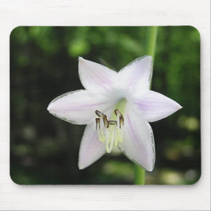 White Hosta Flower Muismat