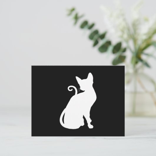 White House Cat Briefkaart (Staand voorkant)