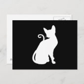 White House Cat Briefkaart (Voorkant / Achterkant)