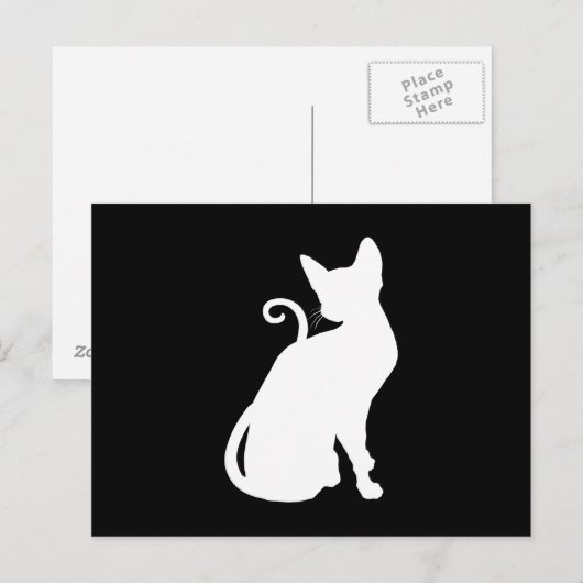 White House Cat Briefkaart (Voorkant / Achterkant)
