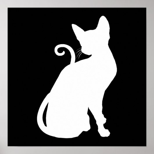 White House Cat Poster (Voorkant)