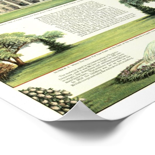 White House Cutout Poster (Hoek)