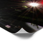 White House - Night Poster (Hoek)