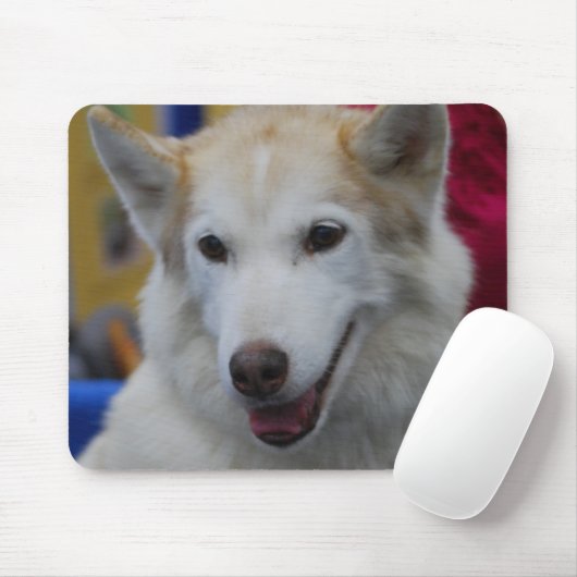 White Husky Muismat (Met muis)