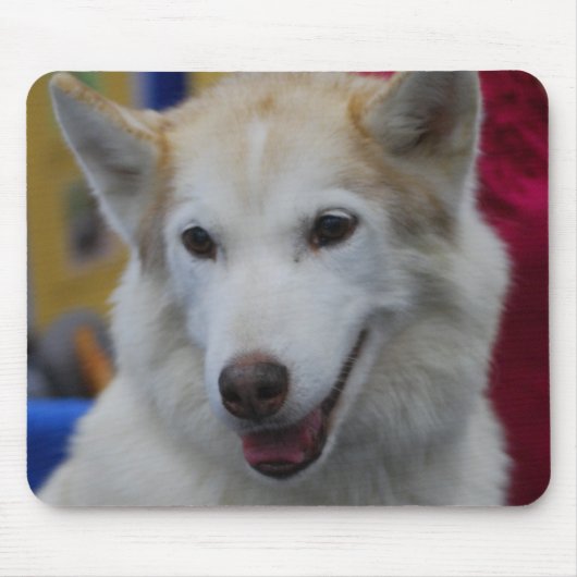 White Husky Muismat (Voorkant)
