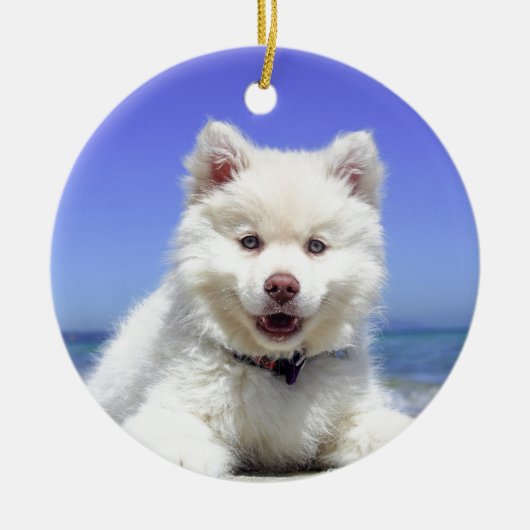 White Husky Puppy with Blue Eyes Keramisch Ornament (Voorkant)