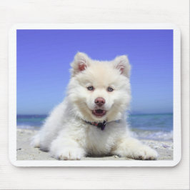White Husky Puppy with Blue Eyes Muismat