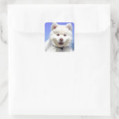 White Husky Puppy with Blue Eyes Vierkante Sticker (Tas)