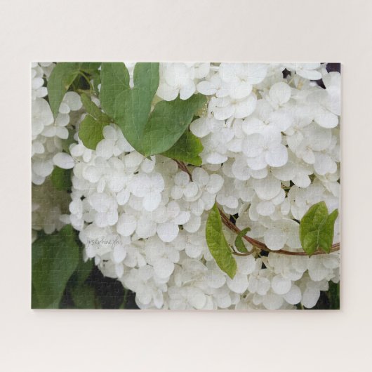 White Hydrangea 16 x 20 Puzzle by jjhelene Legpuzzel (Horizontaal)