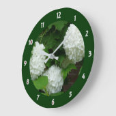 White Hydrangea Annabelle Flowering Plant Floral Grote Klok (Hoek)