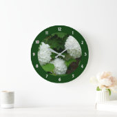 White Hydrangea Annabelle Flowering Plant Floral Grote Klok (Huis)