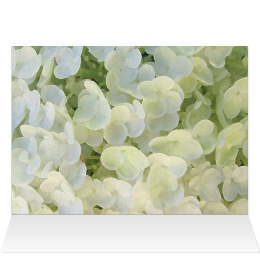 White hydrangea custom card (Binnen Horizontaal (Boven))