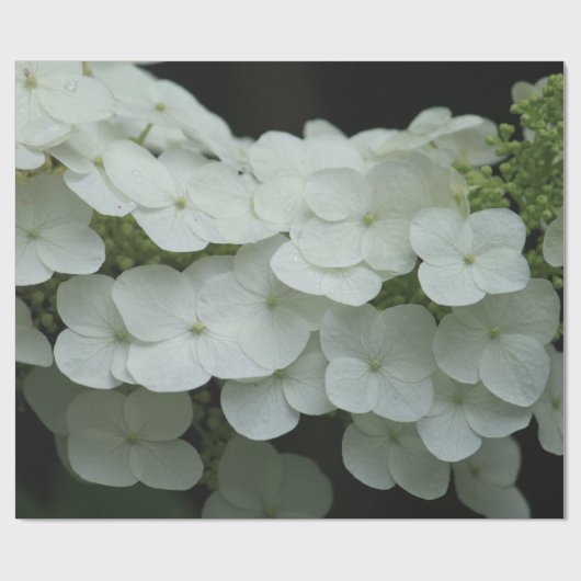 White Hydrangea Floral Foto Cadeaupapier (Vlak)