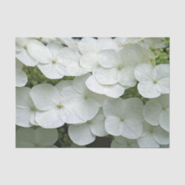  White Hydrangea Floral Foto Tissuepapier