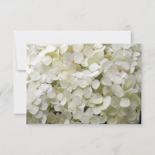 White Hydrangea Floral Marriage Announance Aankondiging (Achterkant)