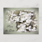 White Hydrangea Floral Save the Date Aankondigingskaart (Voorkant)