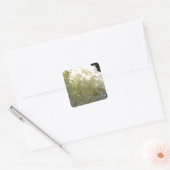 White Hydrangea Flower Cluster Vierkante Sticker (Envelop)