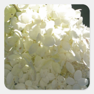 White Hydrangea Flower Cluster Vierkante Sticker