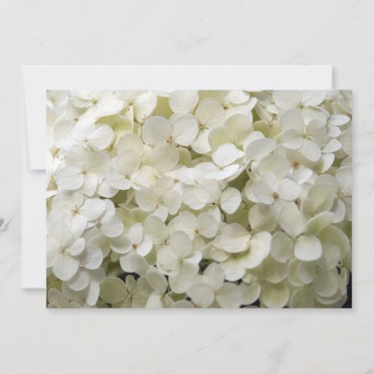 White Hydrangea Flower Quinceanera Invitation Kaart (Achterkant)