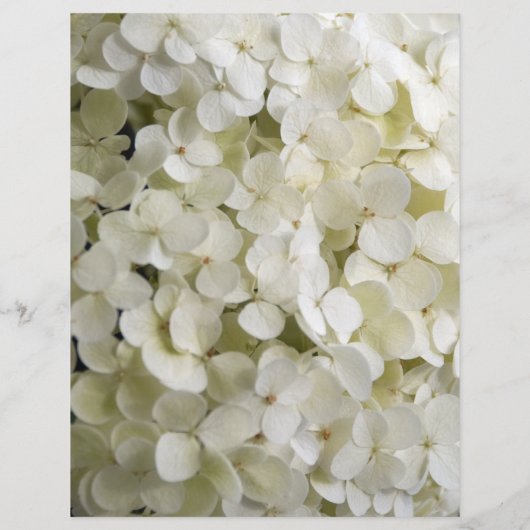 White Hydrangea Flower Wedding Menu (Achterkant)