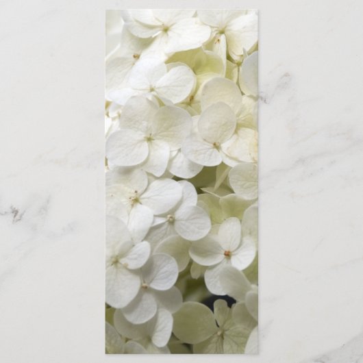 White Hydrangea Flower Wedding Programme Programmakaart (Voorkant)