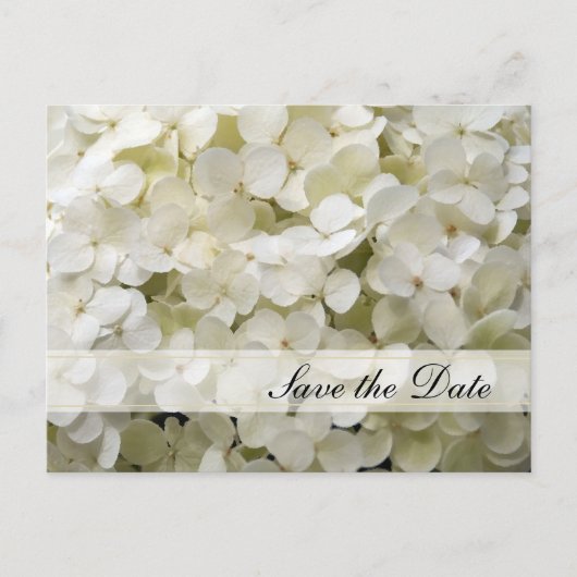 White Hydrangea Flower Wedding Save the Date Aankondigingskaart (Voorkant)