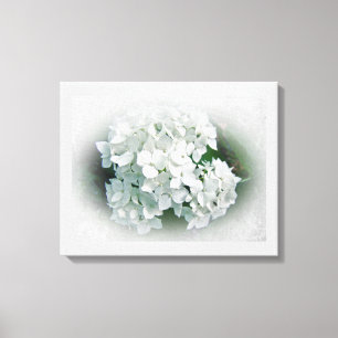 White Hydrangea Flowers Canvas Afdruk