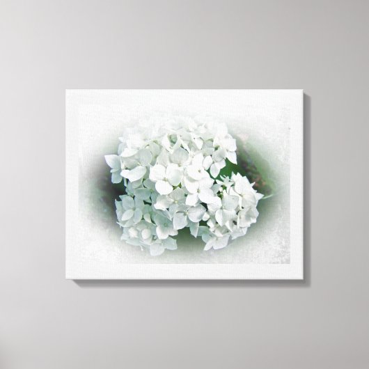 White Hydrangea Flowers Canvas Afdruk (Voorkant)