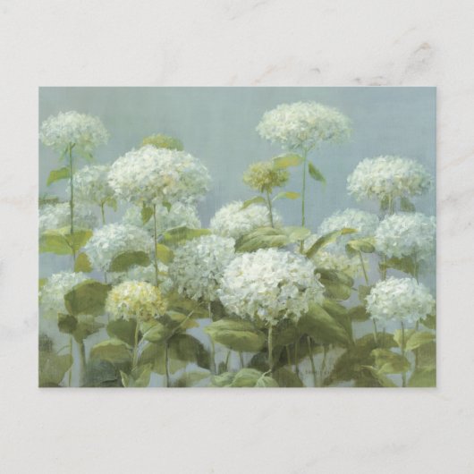 White Hydrangea Garden Briefkaart (Voorkant)