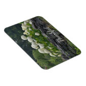 White Hydrangea Gratitude Magneet (Rechterzijde)