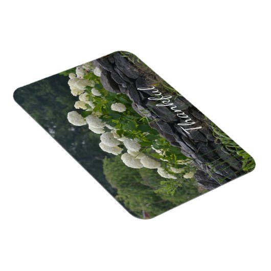 White Hydrangea Gratitude Magneet (Rechterzijde)