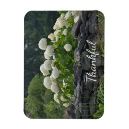 White Hydrangea Gratitude Magneet