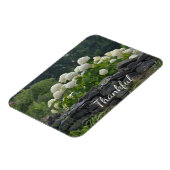 White Hydrangea Gratitude Magneet (Linkerzijde)