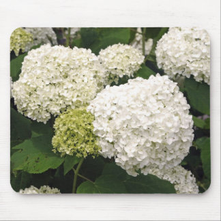 White Hydrangea Muismat