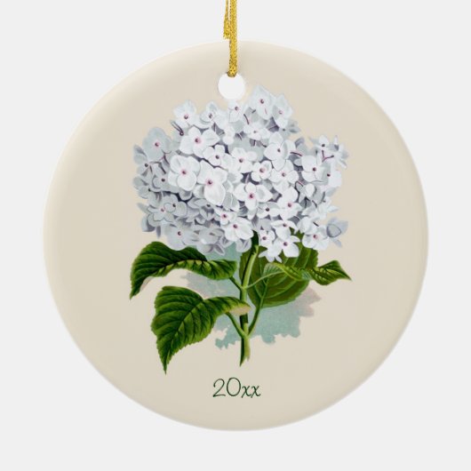 White Hydrangea Ornament (Achterkant)