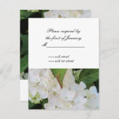 White Hydrangea RSVP Reply Kaart (Voorkant / Achterkant)