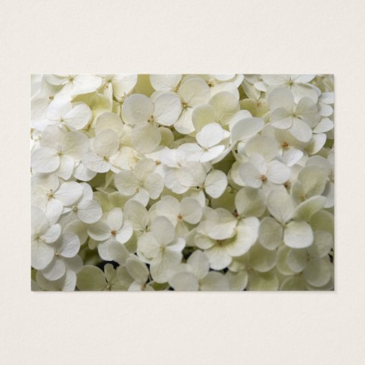 White Hydrangea Wedding Charity Favors Visitekaartjes (Achterkant)