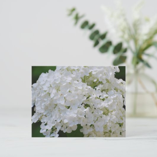 White Hydrangeas Briefkaart (Staand voorkant)