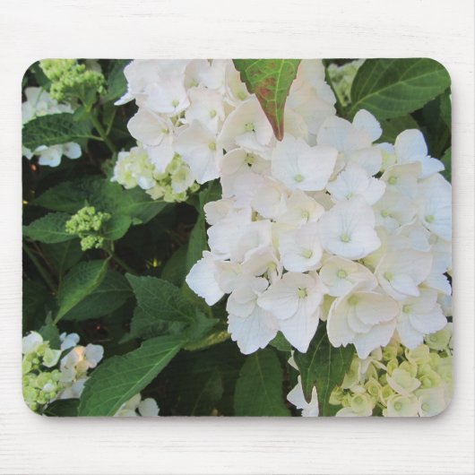 White Hydrangeas Muismat (Voorkant)