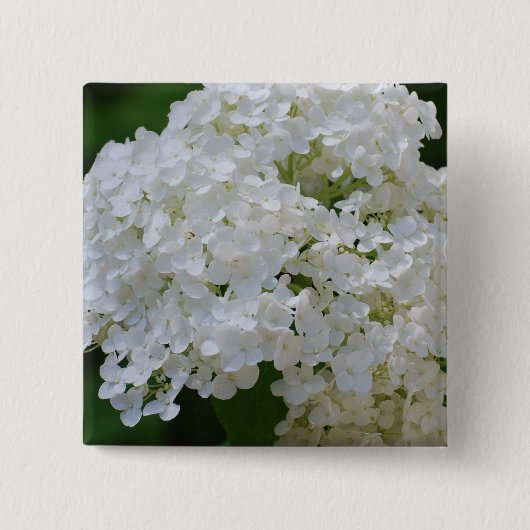 White Hydrangeas Pin Vierkante Button 5,1 Cm (Voorkant)