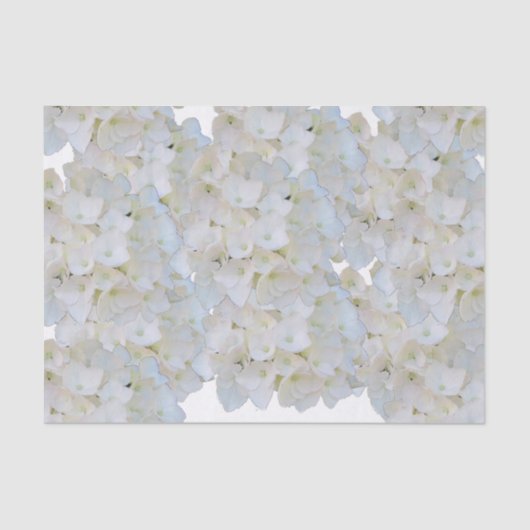 White Hydrangeas Tissue Paper Tissuepapier (Voorkant)
