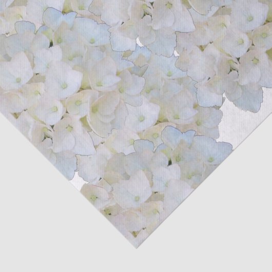 White Hydrangeas Tissue Paper Tissuepapier (Detail)